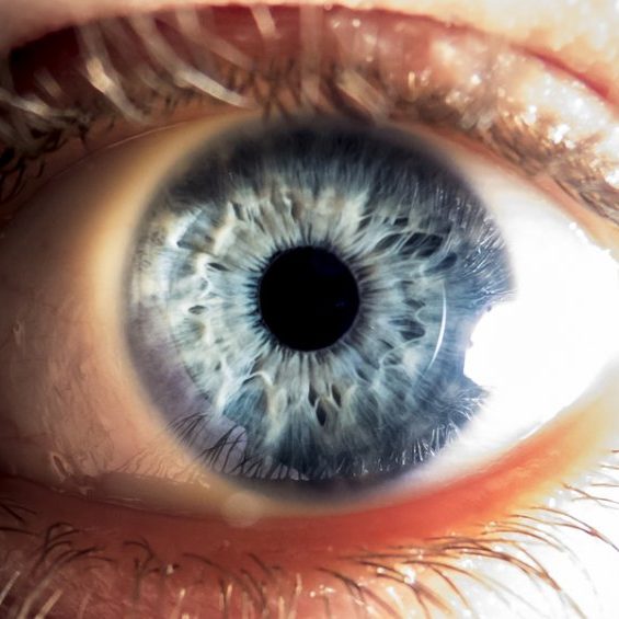 eye (1)
